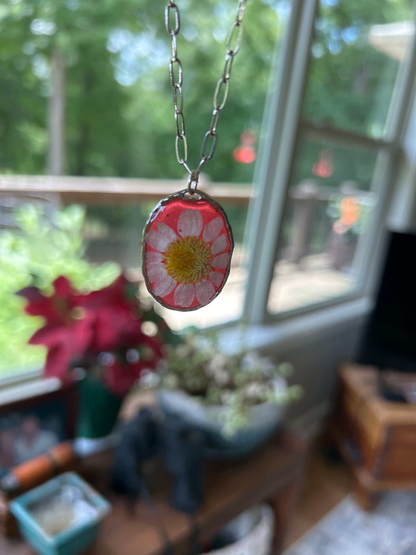 A White Daisy preserved dried flower with a Watermelon Red tinted background Pendant Necklace, Silver round framed bezel, Silver Paperclip chain