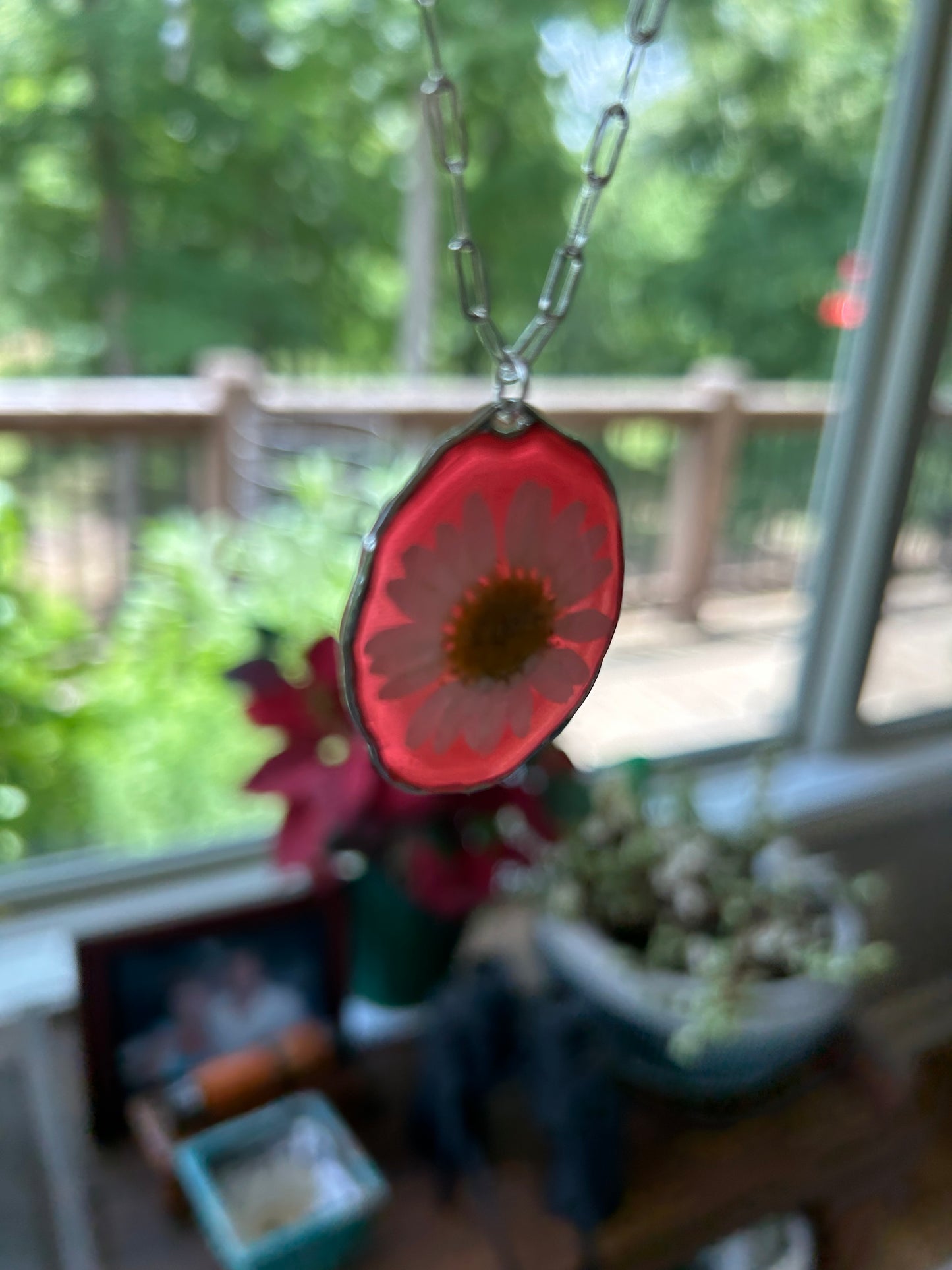 A White Daisy preserved dried flower with a Watermelon Red tinted background Pendant Necklace, Silver round framed bezel, Silver Paperclip chain