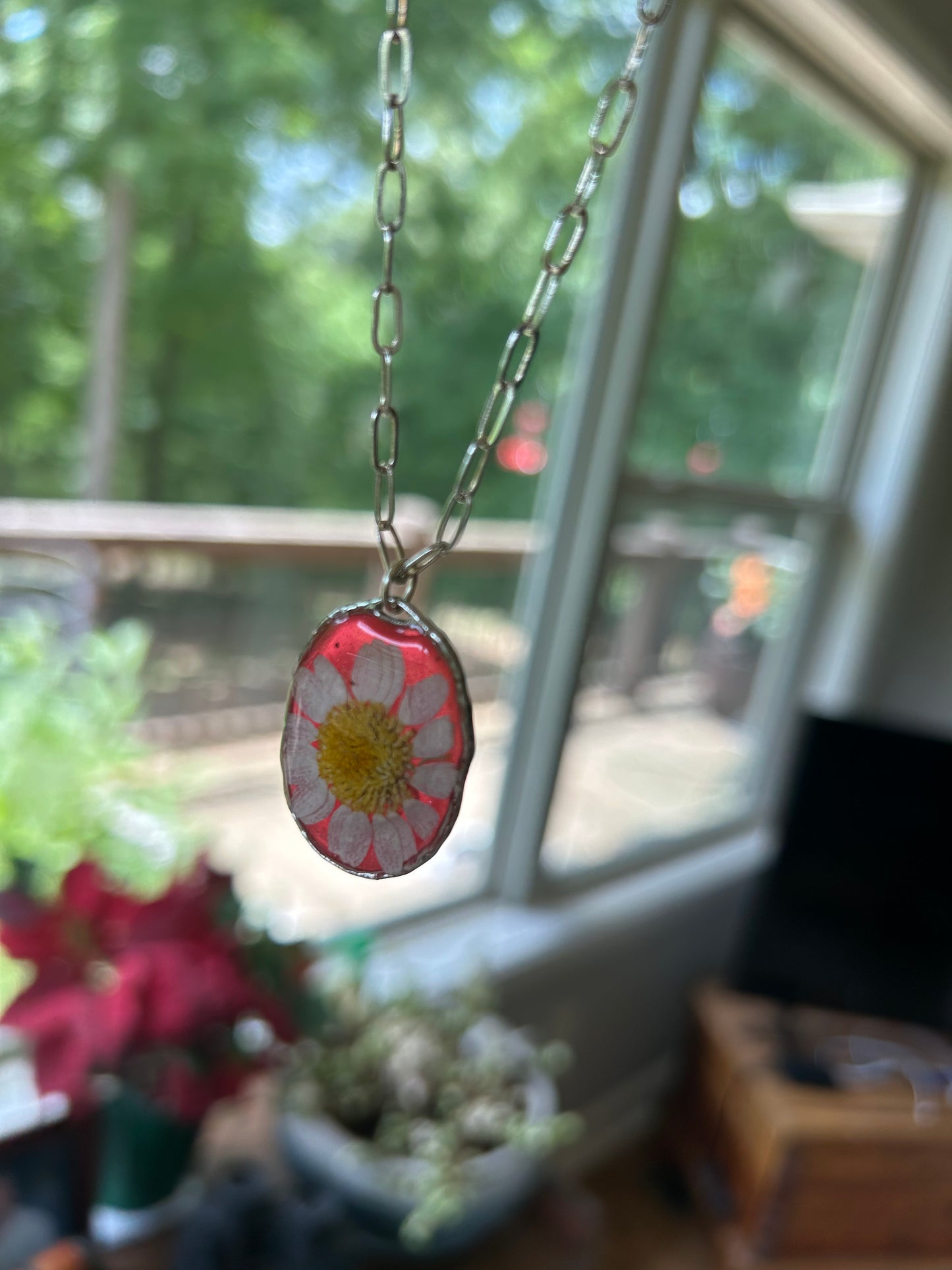 A White Daisy preserved dried flower with a Watermelon Red tinted background Pendant Necklace, Silver round framed bezel, Silver Paperclip chain