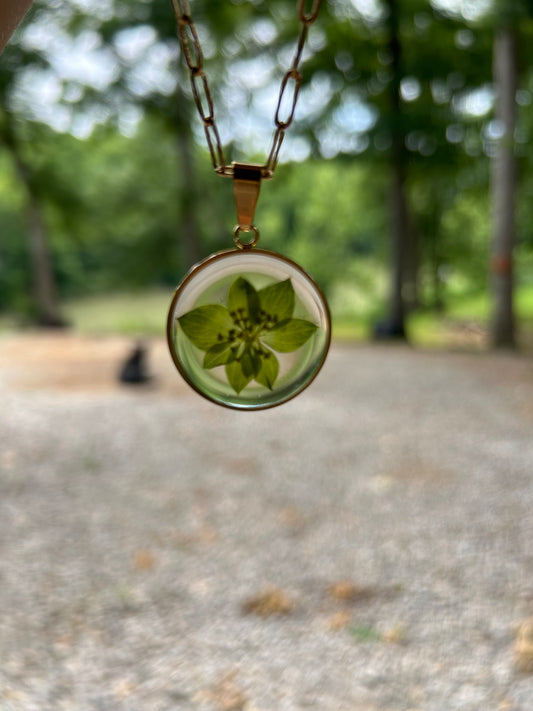 A Clear piece of Mother Nature. A beautifully encased leaf held in Clear Resin. A light and breezy Pendant Necklace in a Gold setting and an adjustable 20” Gold Adjustable Paperclip Chain