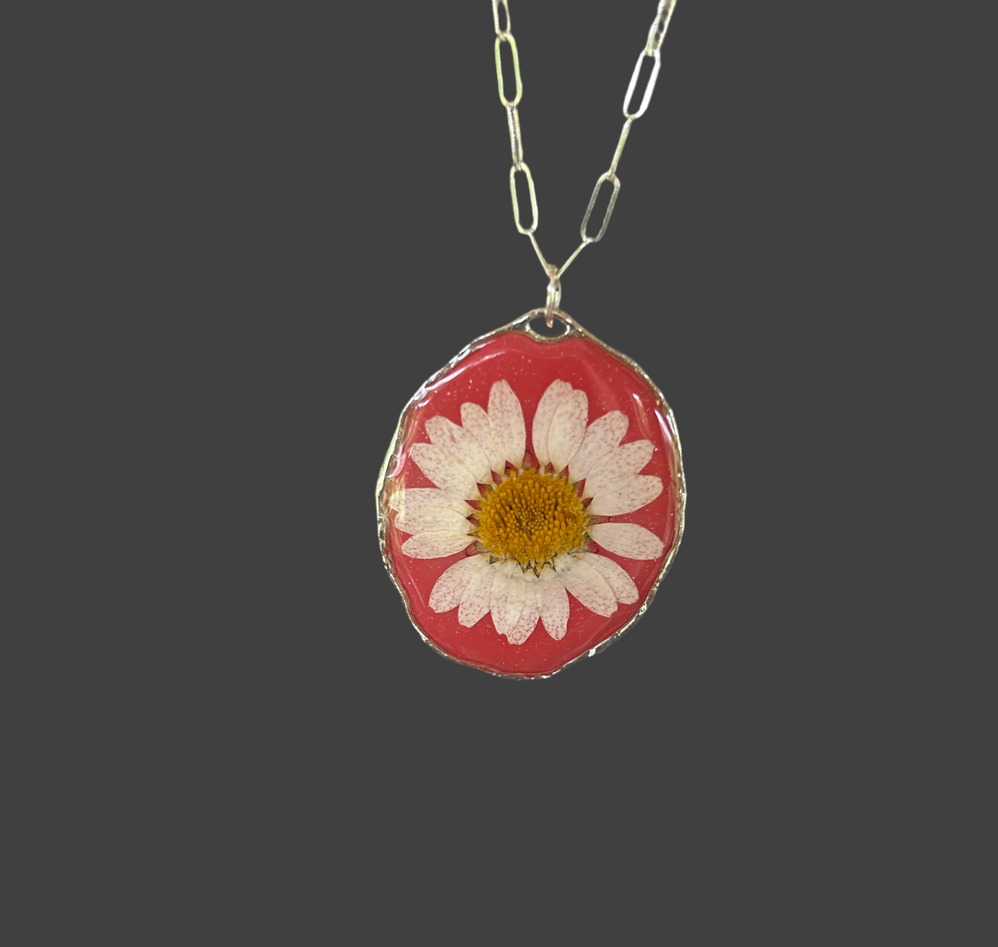 A White Daisy preserved dried flower with a Watermelon Red tinted background Pendant Necklace, Silver round framed bezel, Silver Paperclip chain