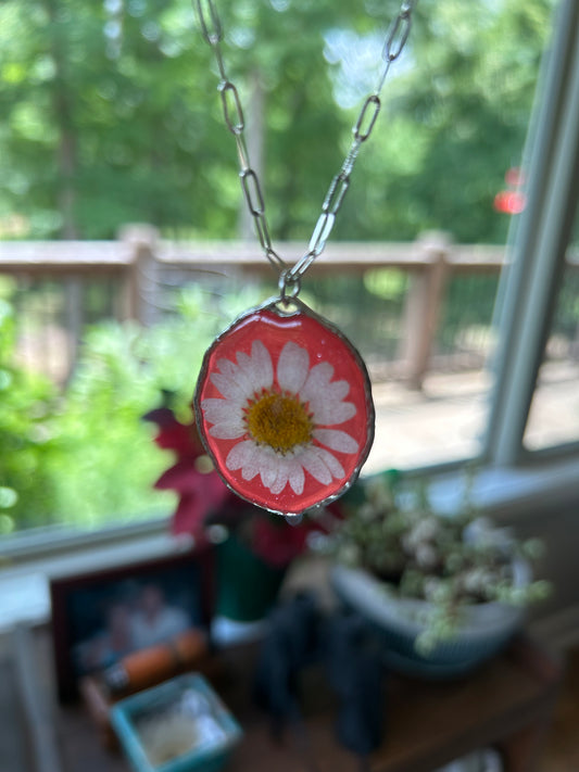 A White Daisy preserved dried flower with a Watermelon Red tinted background Pendant Necklace, Silver round framed bezel, Silver Paperclip chain